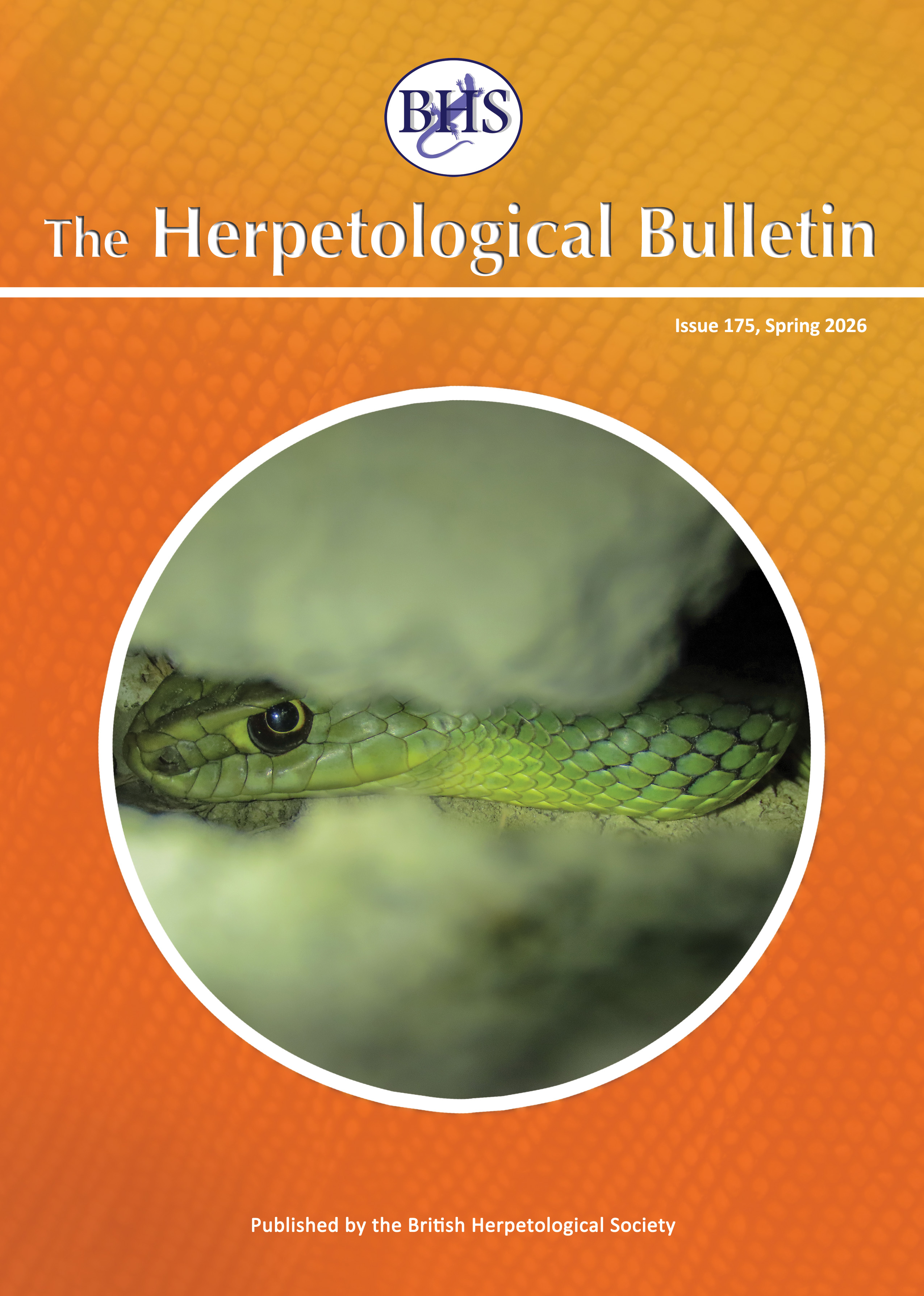 Issue Number 175 - Spring 2026