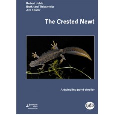 The Crested Newt, A Dwindling Pond Dweller