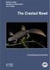 The Crested Newt, A Dwindling Pond Dweller
