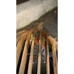 The BHS Amphibian Gully Pot Ladder
