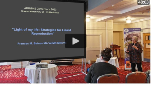 Dr Frances Baines - lizard reproduction strategies