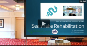 Dr Jonathon Howard - sea snake rehabilitation
