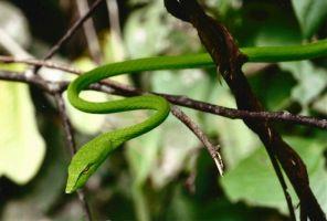 Photographic Competition